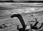 John Ferretti_Embleton Beach, Northumberland.jpg